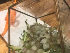 -散德行小酒馆