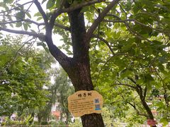 -麦积山温泉