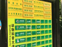菜单-美食小镇·观赏珍稀鸟类·长隆熊猫酒店