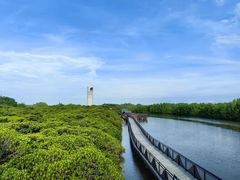 -东寨港红树林旅游区