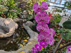 -北京植物园-展览温室