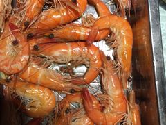 -胶东海鲜大排档(北太平庄店)