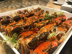 -安蒂娅·海鲜自助餐厅(安蒂娅美兰酒店)