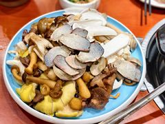 -菌之家·专业纯野生菌火锅·特色炒菌