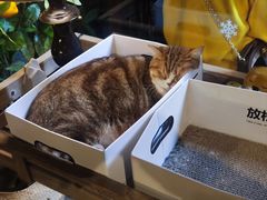 -咖法森林·咖啡  酒吧(天河店)