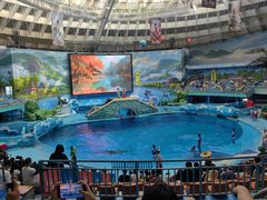 -海合安成都极地海洋公园