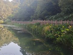-桃花岭景区