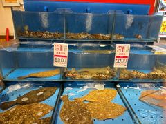 -添福来墨鱼饺子 · 海鲜东北菜(大连星海·黄浦路店)