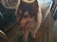 -玩坞轰趴馆·户外团建聚会主题生日派对馆(世豪广场店)