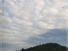 -黄帝陵