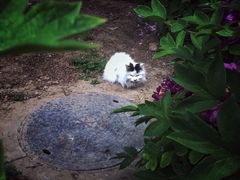 -大钟寺古钟博物馆