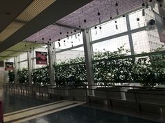 -中部国际机场