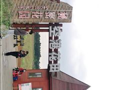-空港花田景区
