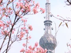 -文华公园(禅城区)