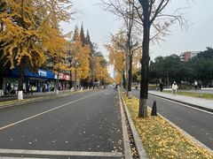 -四川大学(望江校区)
