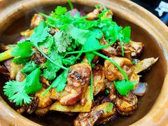 -广宁炭炉鸡煲·富临门饭店