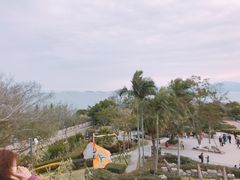 -莲花公园煎蟹(总店)