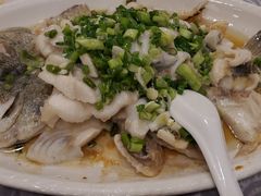 香葱淋鲈鱼-粤·向群饭店(龙津东路总店)
