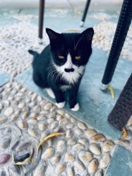 -颐和宾馆宴会厅