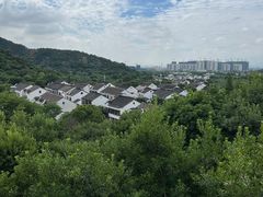 -树山生态村