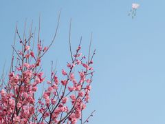 -长广溪湿地公园