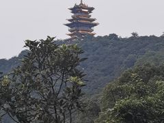 -杭州半山国家森林公园