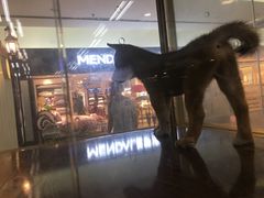 -乐宠宠物店(世纪金源店)