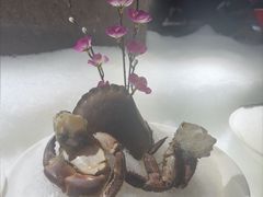 -福禧荟·海鲜自助