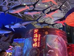 -烟台海昌鲸鲨海洋公园