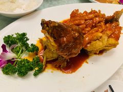 松鼠桂鱼-新聚丰菜馆(太监弄店)