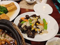 百合云耳马蹄-金龙寨(解西店)