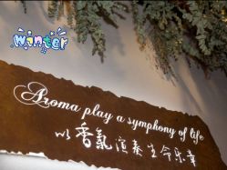 点击看大图 -芳香乐府SPA·五行芳疗
