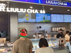 -TD66高山铁皮石斛养生茶饮