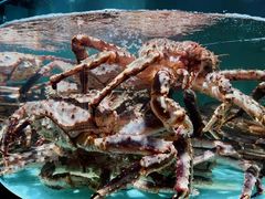 -蟹田居·活蟹料理(东城店)