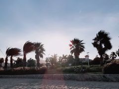 -黄金海岸环岛路