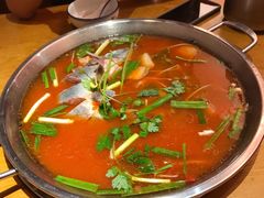 -新凯里酸汤鱼(飞山街店)