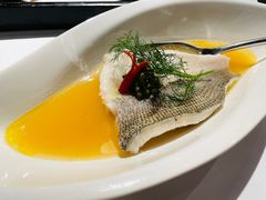 -梧桐Plus·创意京·川料理(万象城店)