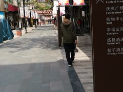 -朱洪元苏式面馆(绿宝广场店)