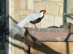 -北京市海淀外国语实验学校