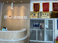 -宠颐生动物医院·猫科·心脏科(海口分院)