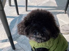 -杭州桐庐康莱德酒店西餐厅-舍