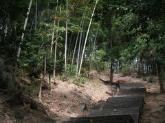 -天柱山风景区