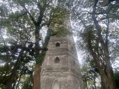 -江心屿景区
