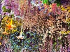 -正佳雨林生态植物园