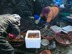 -龙头岩(Dragon Head Rock)