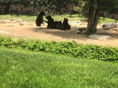 -北京野生动物园