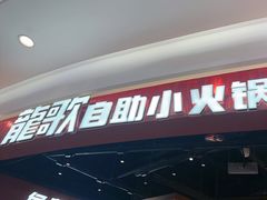 -龍歌自助小火锅(雨花台江南虹悦城店)