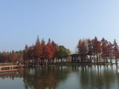 -贡湖湾湿地公园