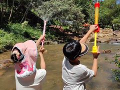 -广州白江湖森林公园