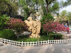 -文瀛公园